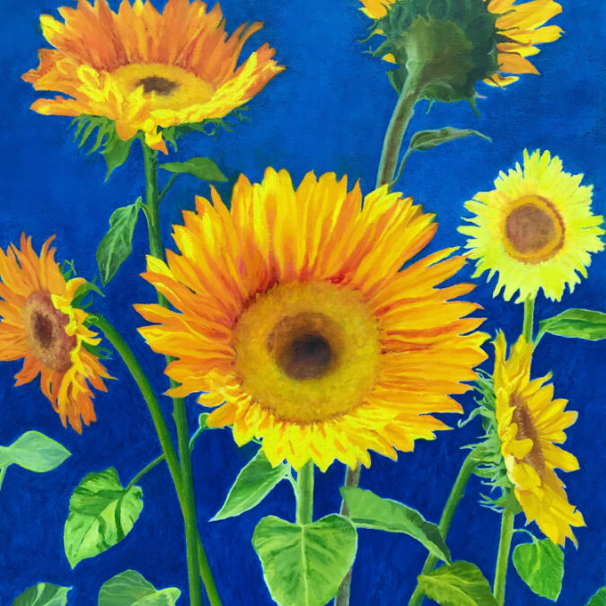 Sunflowers/Ukraine