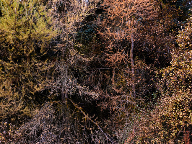 Untitled, Iceland