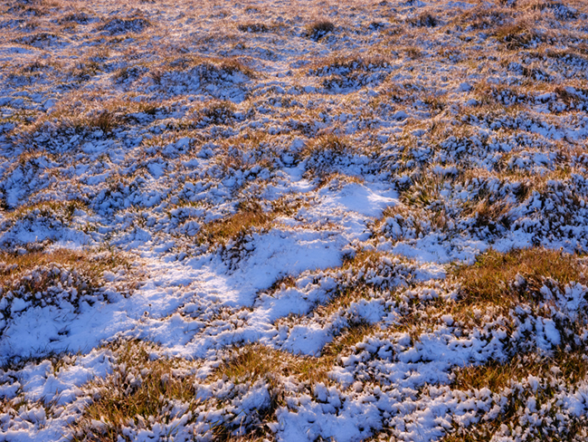 Untitled, Iceland