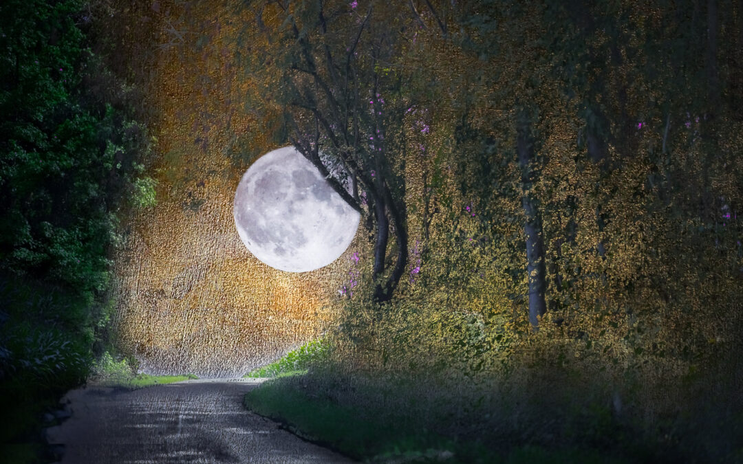 Moon on the Back Road