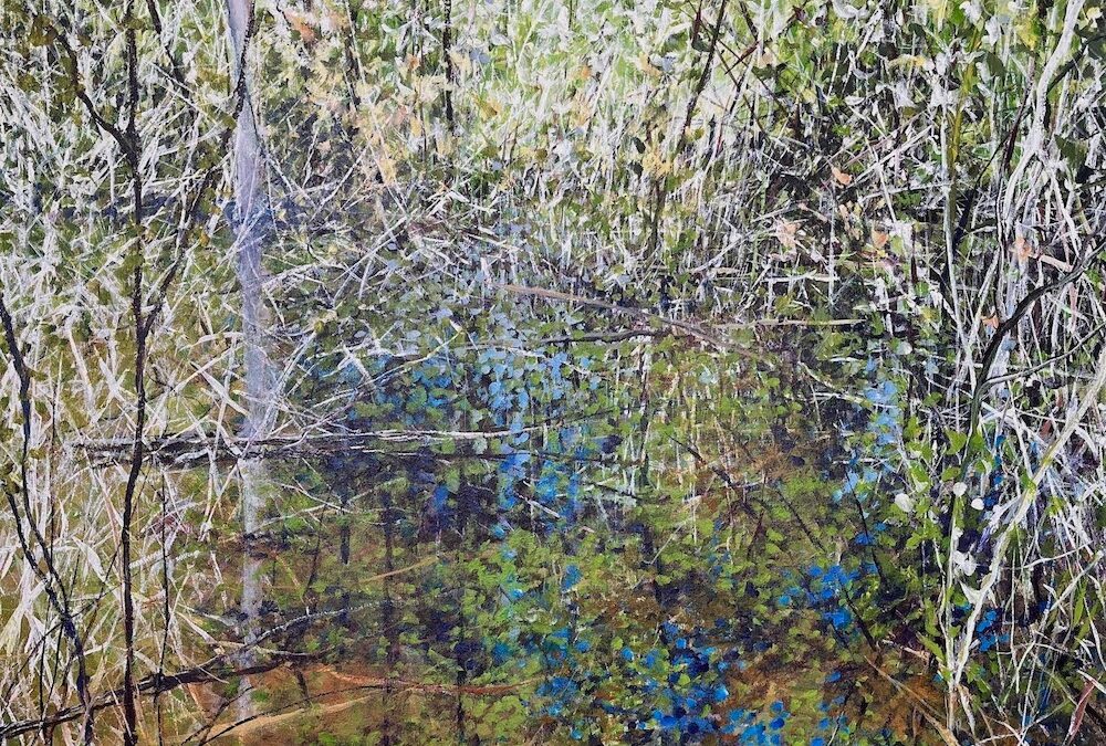 Overcast Reflection