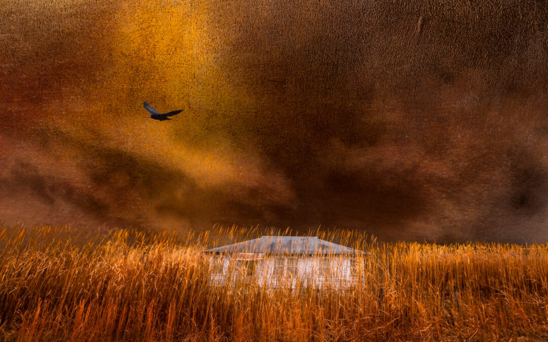 Tall Grass In Gold