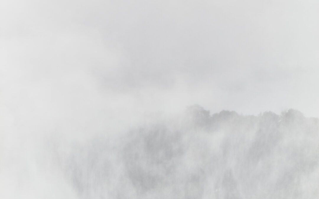 Niagara Edge