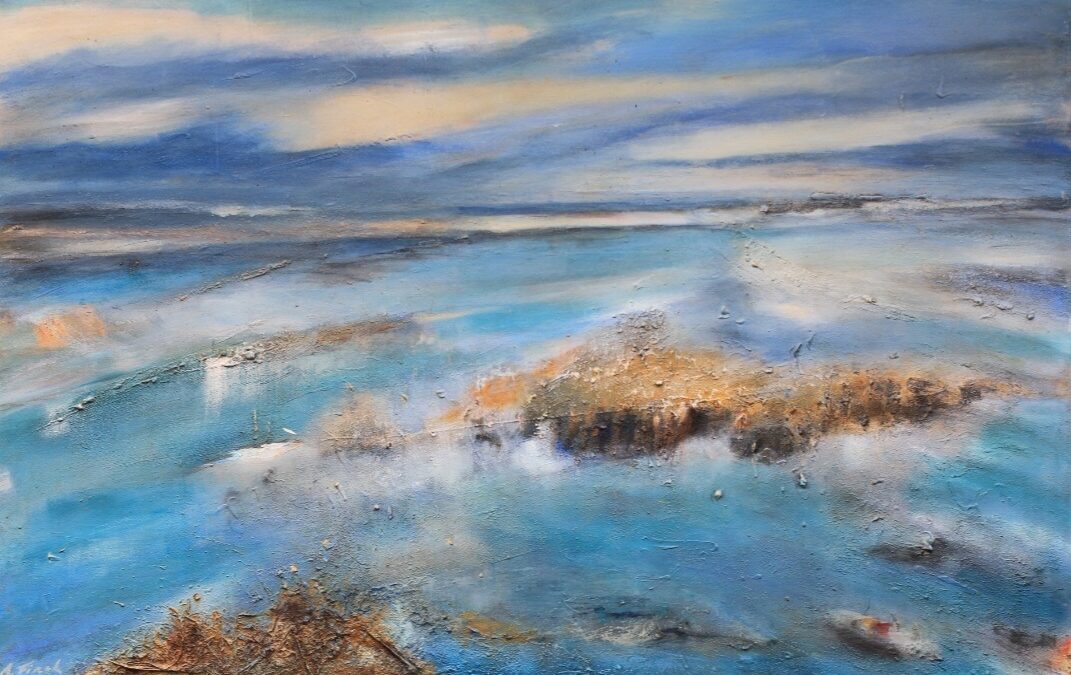 Terra australis