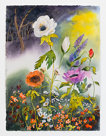 Night Landscape
