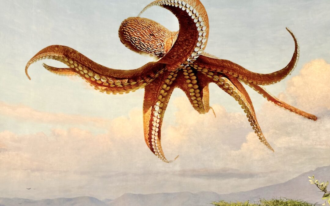 Enteroctopus Dofleini