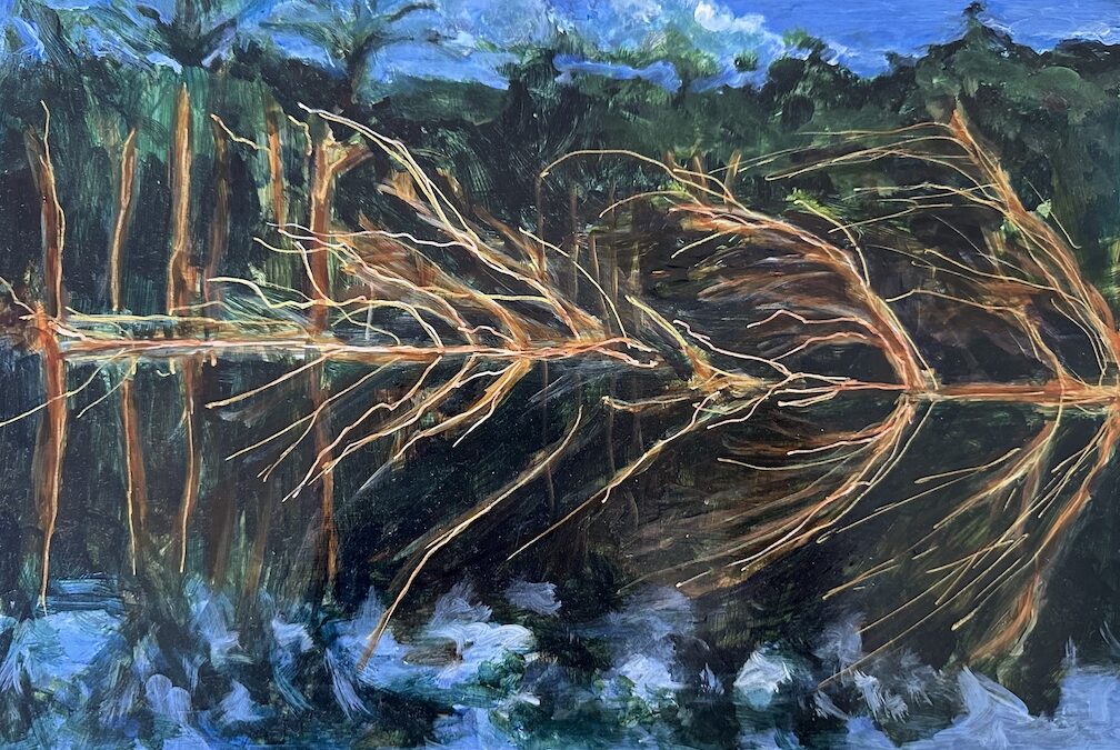 Guadalupe River, Kerr County